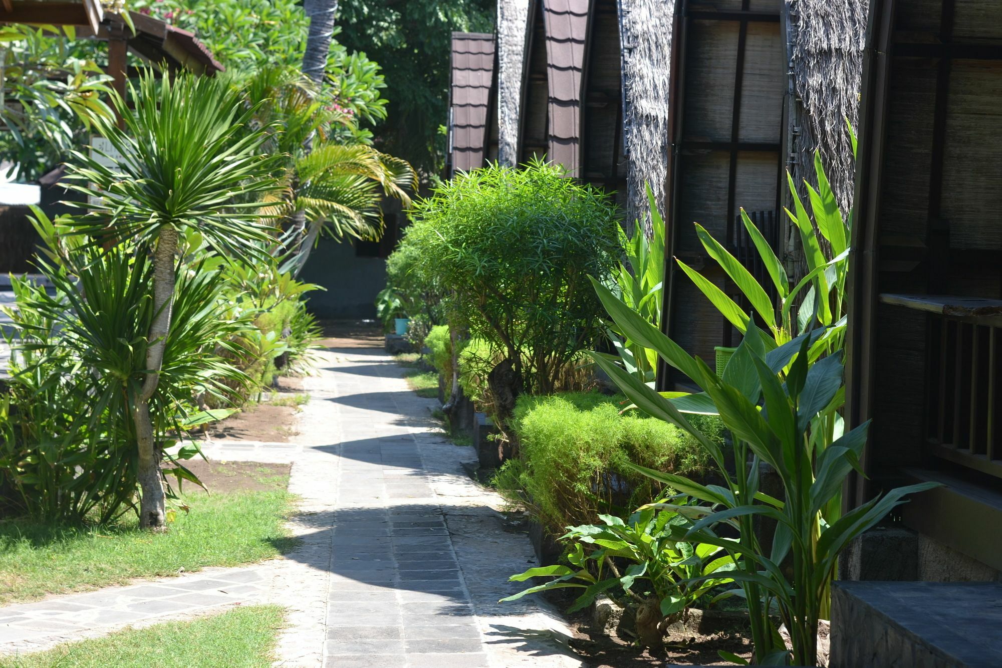 Amora Villa Gili Trawangan Bagian luar foto